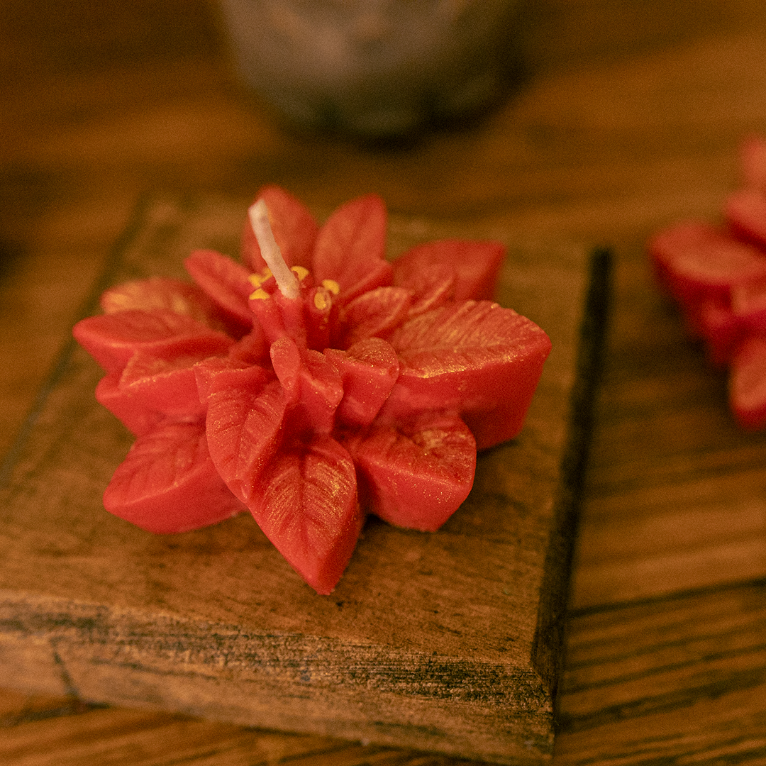 Vela Flor de noche buena