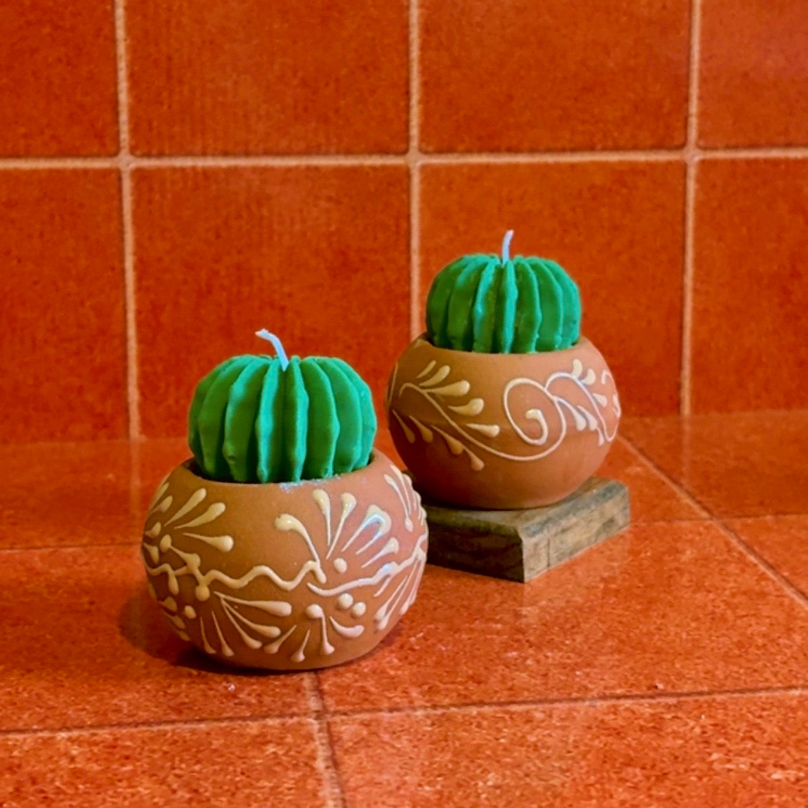Vela Decorativa Biznaga en maceta